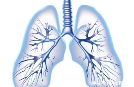 肺开始病变,身体会亮5次“红灯”,哪怕只占一个,也要开始养肺