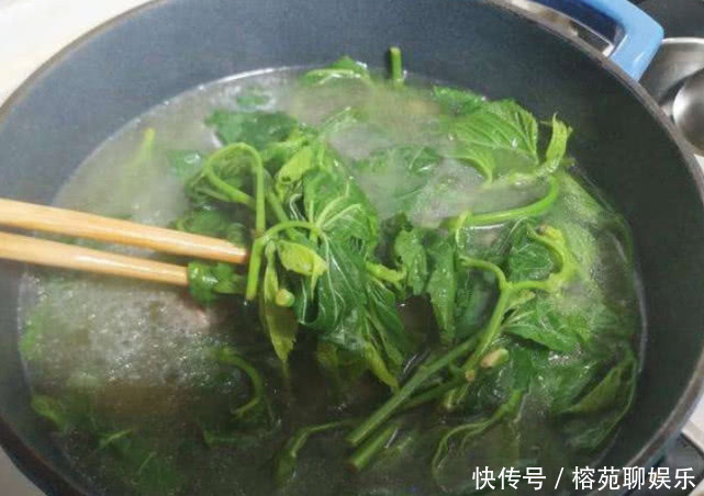 桑叶|每天用“桑叶”泡水喝,不出一个月,3件好事可能会不请自来