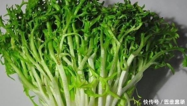 常吃|谁吃谁好的几种野菜,推荐常吃,清热解暑,养肝明目、抗菌消炎
