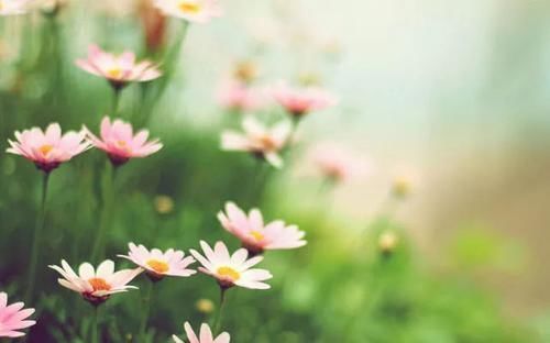 好运|恭喜4生肖,23号顺字当头,发大笔钱财,越来越快乐的生肖!