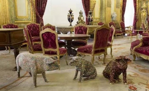 德沃伊!16年前,老外带领团队来北京养猪,一张猪皮卖100万,如今怎样了