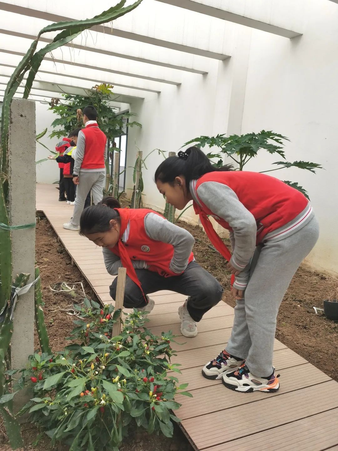 农场|“双减”之下，且看实小福溪校区如何给劳动教育做“加法”