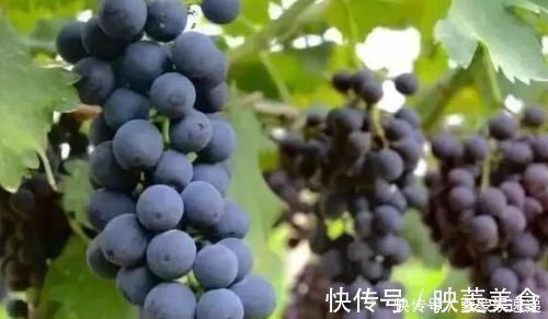 衰老|每天晚上坚持吃3种食物,美容养颜,延缓衰老,有益健康