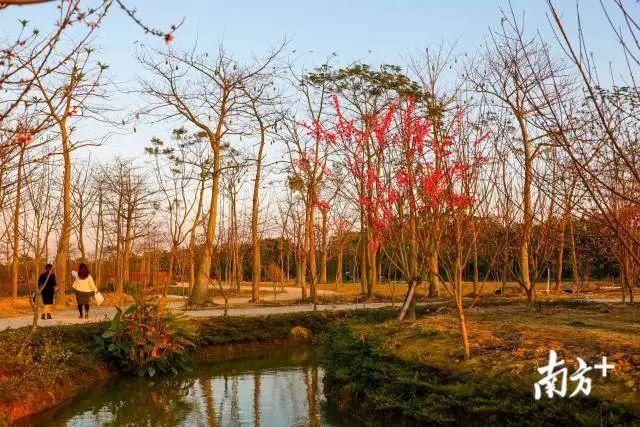 后山|普宁南溪：灼灼桃花源 悠悠水乡中