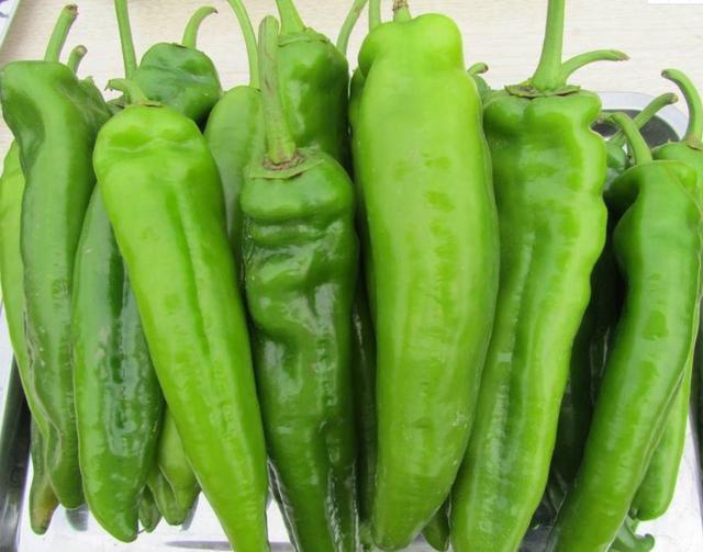 想知道青椒辣不辣,看这2个地方就行了,学会以后再也不怕买错了