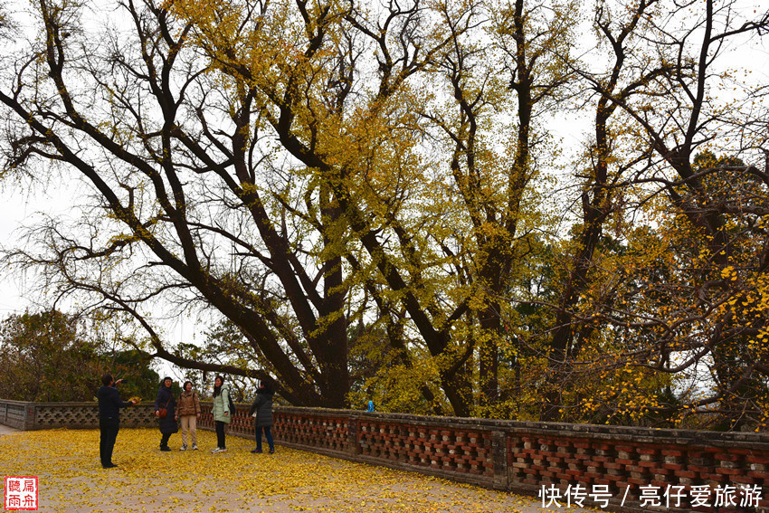  辉县|谁来保护这处全国重点文物保护单位（辉县白云寺）？