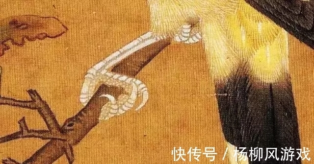 花鸟画@精细入微,看清一根根羽毛!赵佶花鸟画