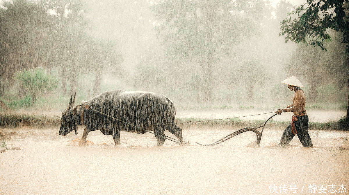 农村|俗语“闰四月,兆年荒”啥意思为何农村老人都不喜欢闰四月