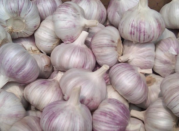 香菇与此物同吃,胜过“阿司匹林”,血栓消失不见,血压骤降