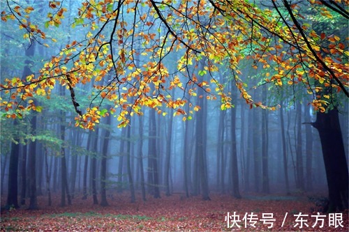 寿命#“气”决定您的寿命,一定要看!