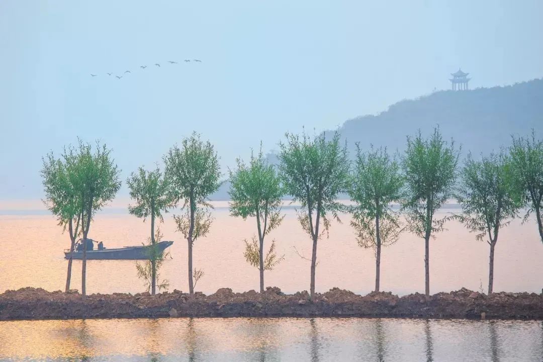 临安春雨初霁|今日雨水｜雨水无声润万物 人间安暖又逢春