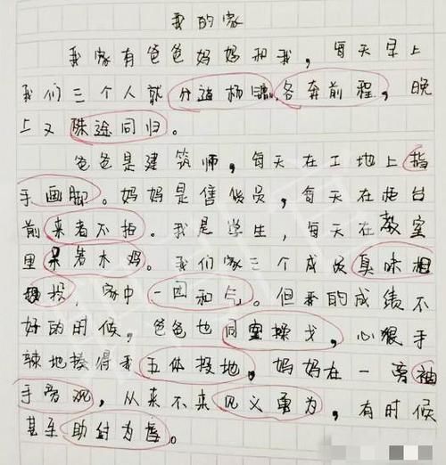 小学生作业“连一连”火了，老师打叉却遭网友回怼：这题哪错了？