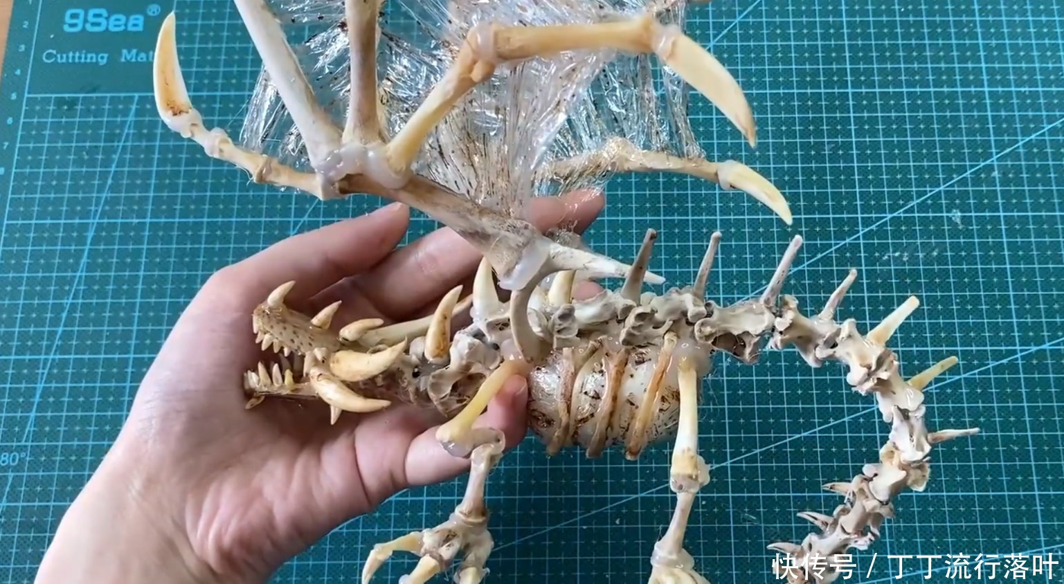 大神和菜鸟|手工大神啃完鸡鸭不要扔,裹上保鲜膜,钢铁直男馋哭了