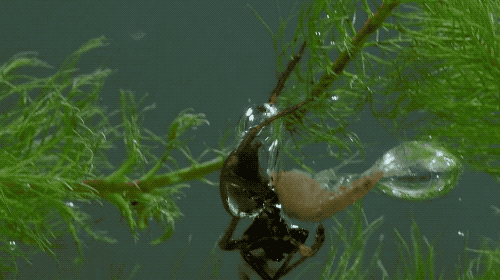 |搞笑GIF:长点心吧 对面住的可都是单身汉啊