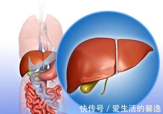 代谢|想养肝先管住嘴,这3种食物,再喜欢也少碰,肝脏会感激你的