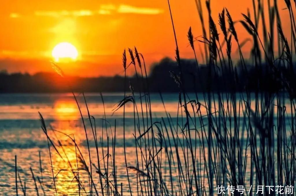 黄鹤楼&中国历史上影响最大的10首诗,惊艳千古,中国人必读古典文学与诗词今天