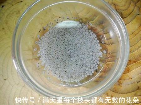 黄瓜|女人不懂吃这早餐可惜了,美容瘦身,润肤乌发,40岁都是少女脸