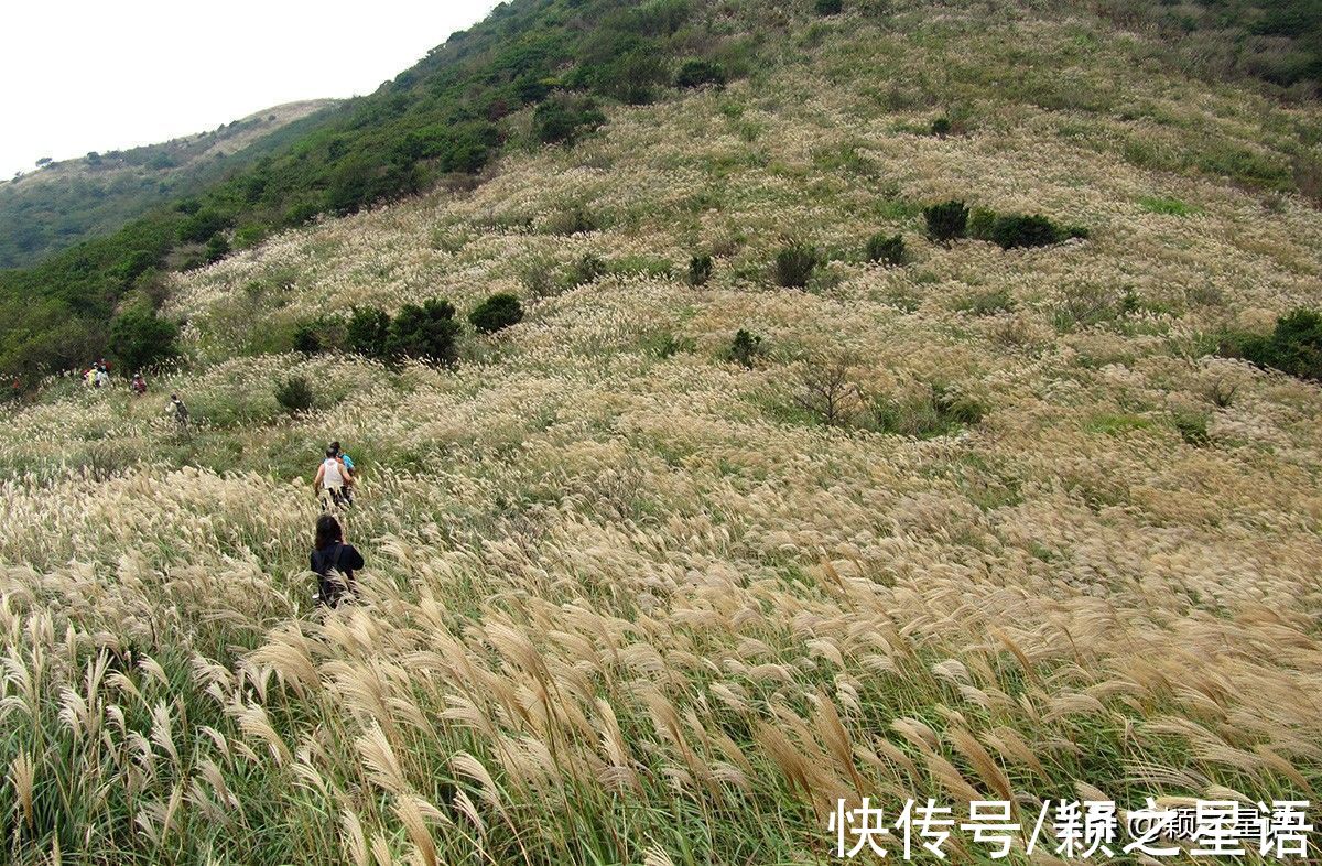 宁波|宁波唯一，高山草甸风光，希望不要修建风电场