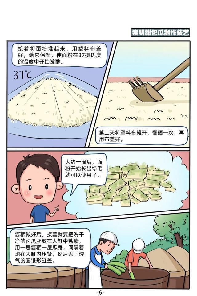 非物质文化遗产|「图说」崇明非遗文化你了解吗?来看这组漫画↓