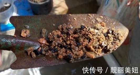 盆栽多肉不想土结块就用这“渣”作弊,方便储存空气、排泄积水