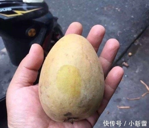 4种“世界级”水果,有钱也不一定吃过,全吃过是“真土豪”