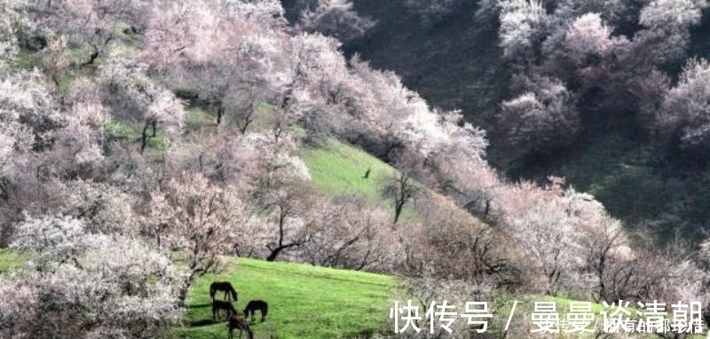 王安石|王安石最伤感的一首诗,更是表达了一种无奈的人生,读来肝肠寸断