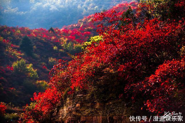 太行山|河南林州，太行山村的诗意秋色，万山红遍村民晒秋忙