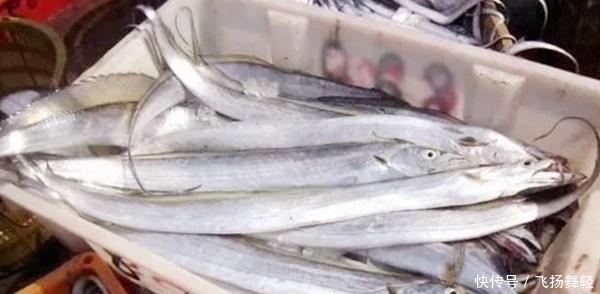 买带鱼时,聪明人遇到“这3种”扭头就走,商贩:从不让家人吃
