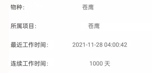 武汉|武汉小伙救下的鸟1000天后又回来了