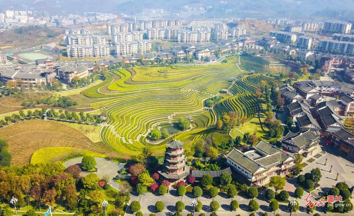 毕节市|锦绣梯田扮靓城市后花园