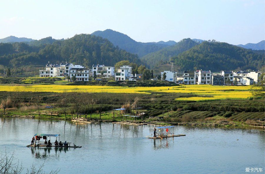 阳春三月，游婺源赏油菜花