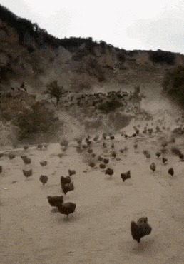 |搞笑gif 恕大王直言, 这照片让我对护士彻底失去兴趣了……