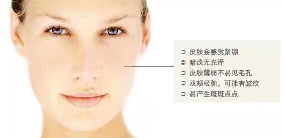 美容师课堂：皮肤学之皮肤的类型