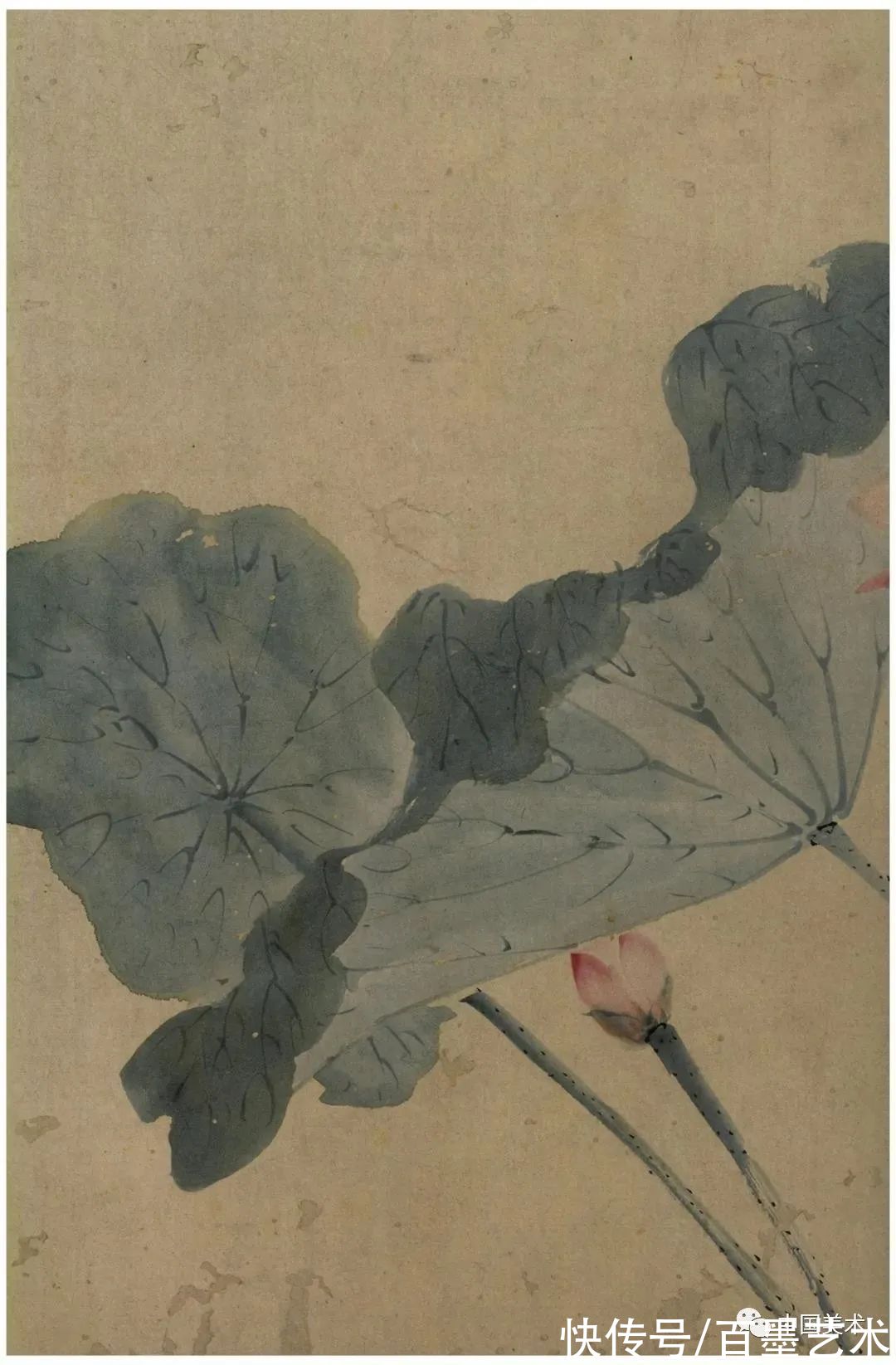 明朝@青藤白阳：明朝花鸟两大高峰