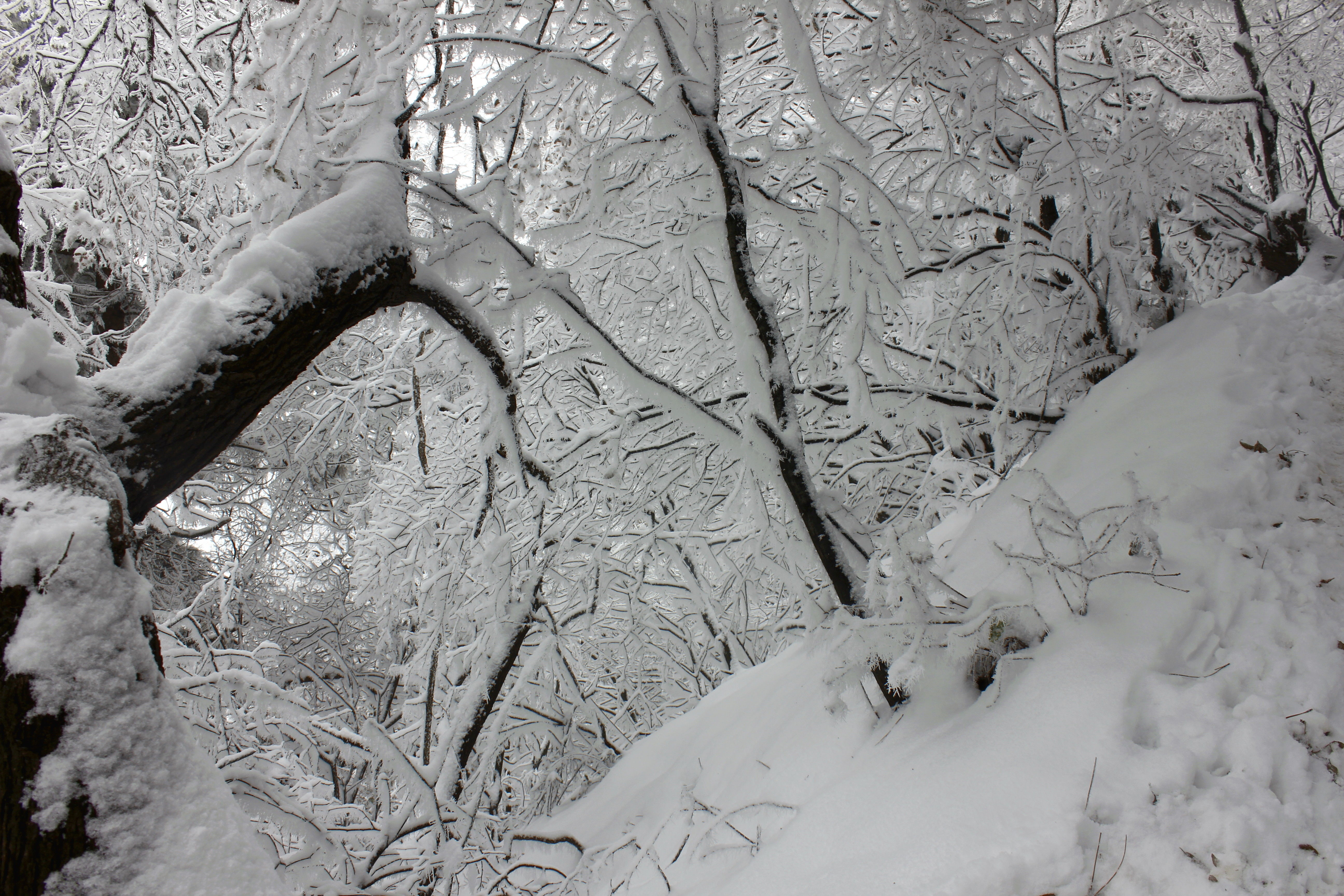 征集|【年末福利征集】雪后南五台幸遇云海