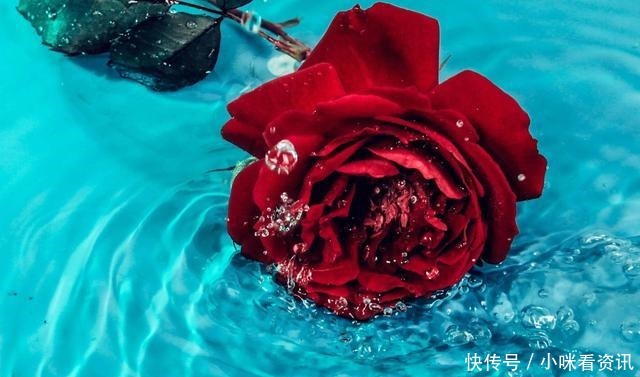 真正的有缘人,是分不开的