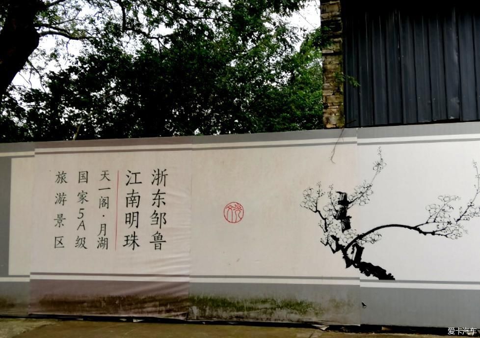 地标|晨游月湖园，误撞童槐家