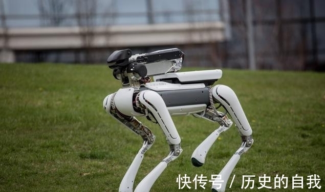 mini|三款AI智能仿生机器人,网友:未来智能,令人恐惧