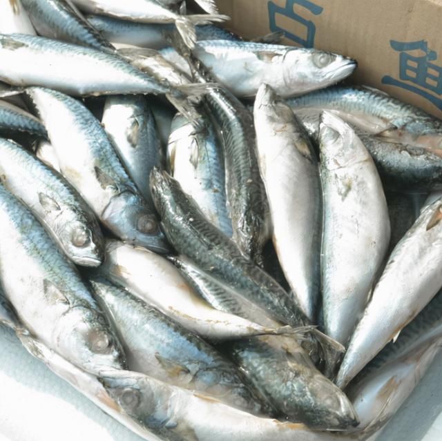 贝类|含“寄生虫”最多的2种海鲜，没营养还贵，商家宁愿丢掉也不吃