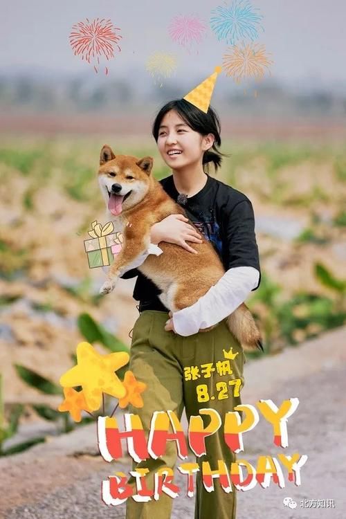 《向往5》即将见面，官宣海报C位惹争议，黄磊的困境还是如此