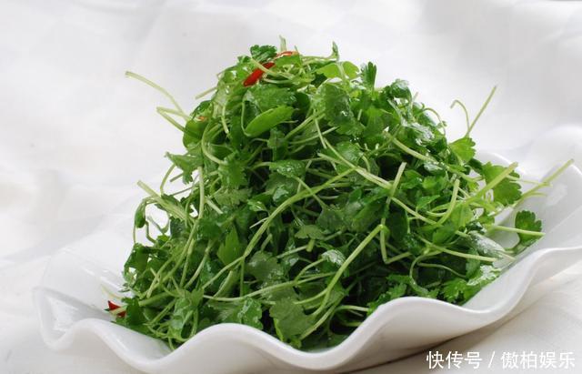 吃不完的香菜只知道放冰箱老菜农教你1招,放一冬天也新鲜