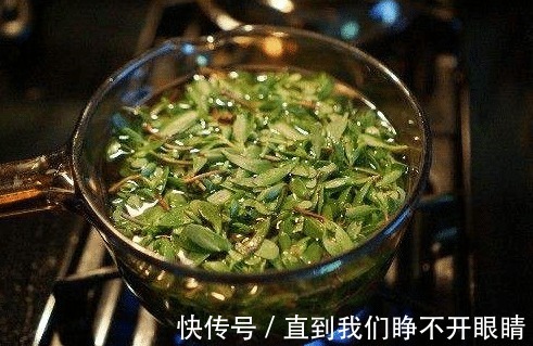 经常用马齿苋煮水喝，不出半个月，4件好事或许会不请自来