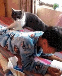 |搞笑GIF:冬天到了,地球有点冷,我给他烧点柴火