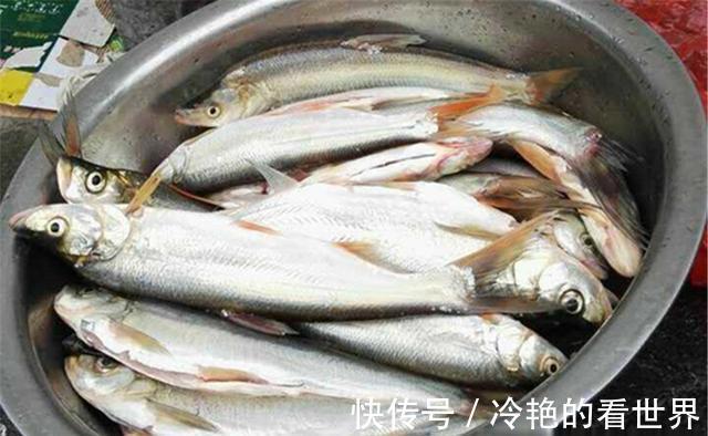 虾皮串钩|狂拉翘嘴的几种好方法,翘嘴大小不同,钓法完全不同