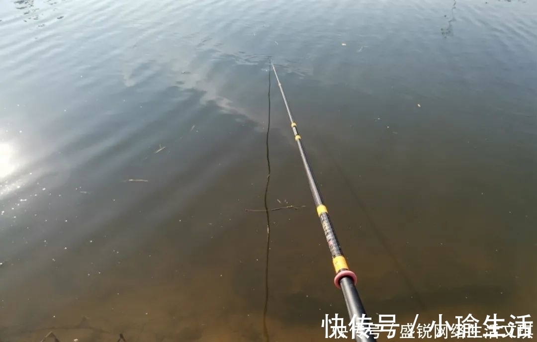 谁说钓鱼找底不重要?它的作用可不仅是为了调漂,绝不可省略