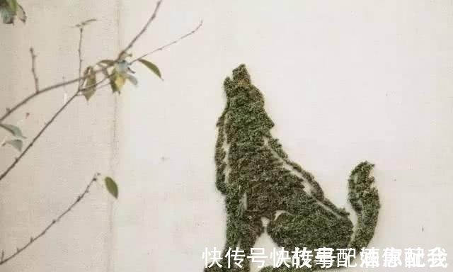 啤酒!他用酸奶、啤酒、苔藓把动物养在墙上,14天后的画面让人惊讶