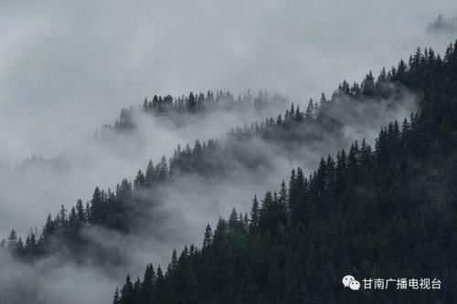 春雪|聚焦“五无甘南” ｜活着就能见的“天堂” 你一生必须去一次甘南