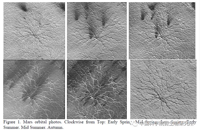 非生物 火星上存在真菌吗？