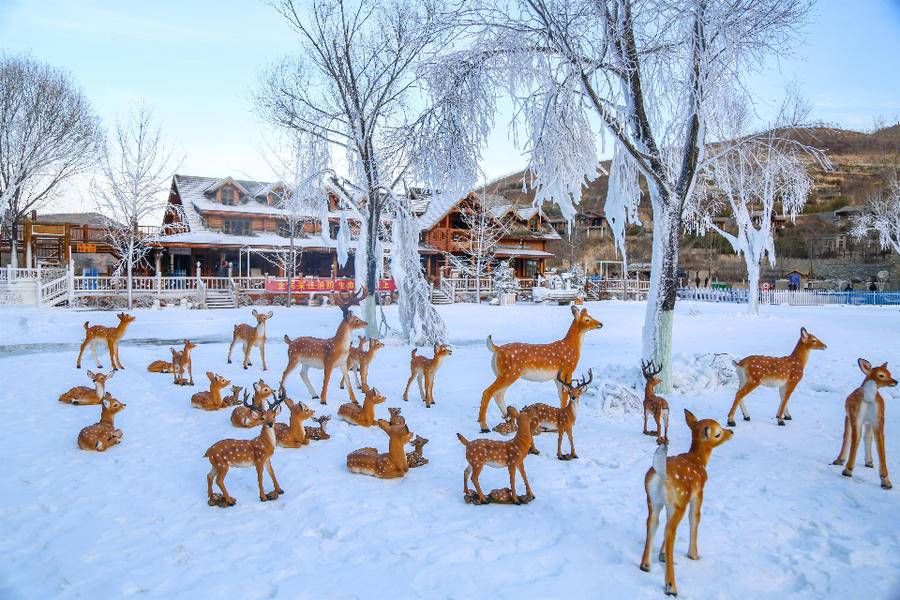 济南|济南冬季怎么玩？这个冰雪秘境你一定要知道