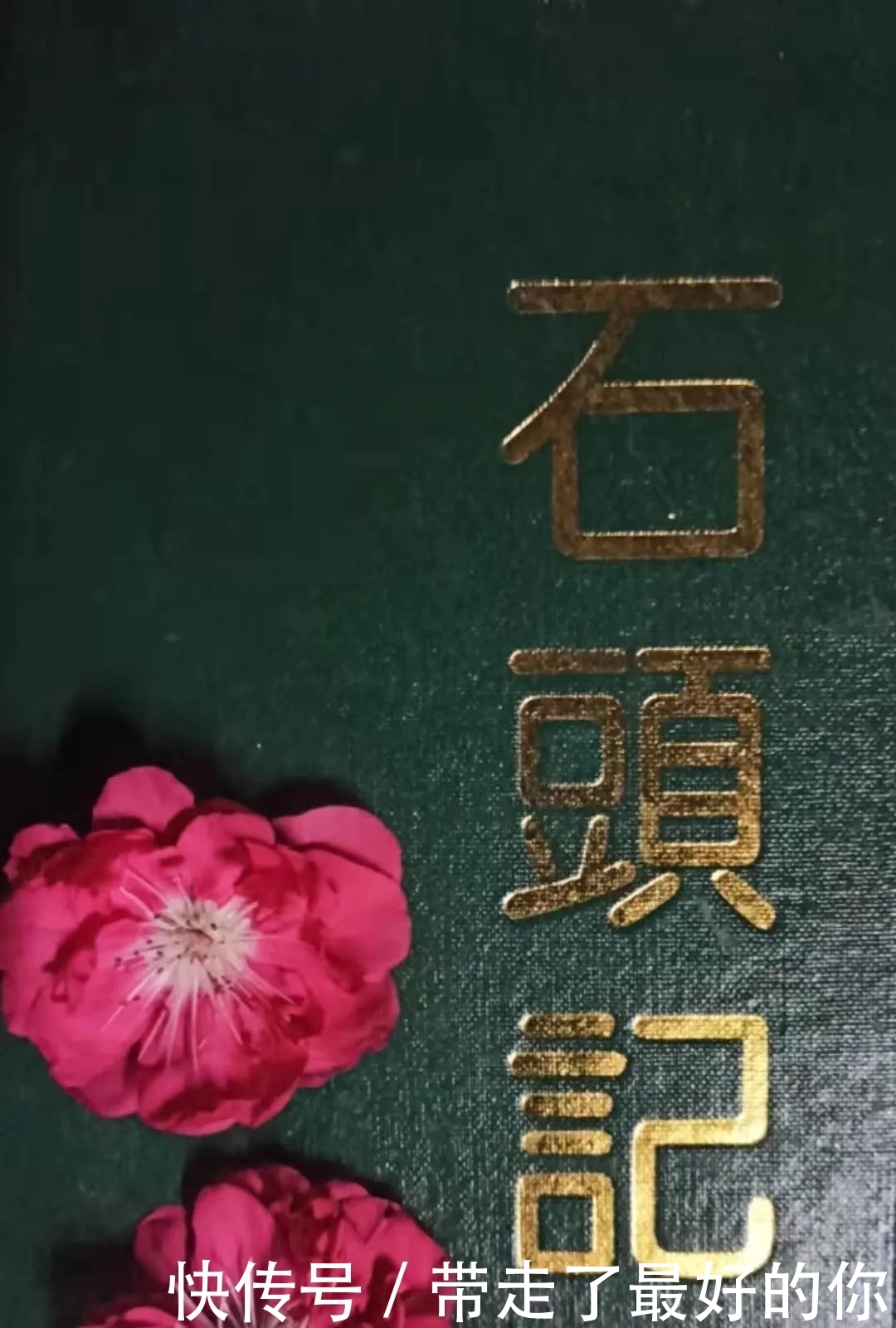 落花|月上桃花.古今葬花人